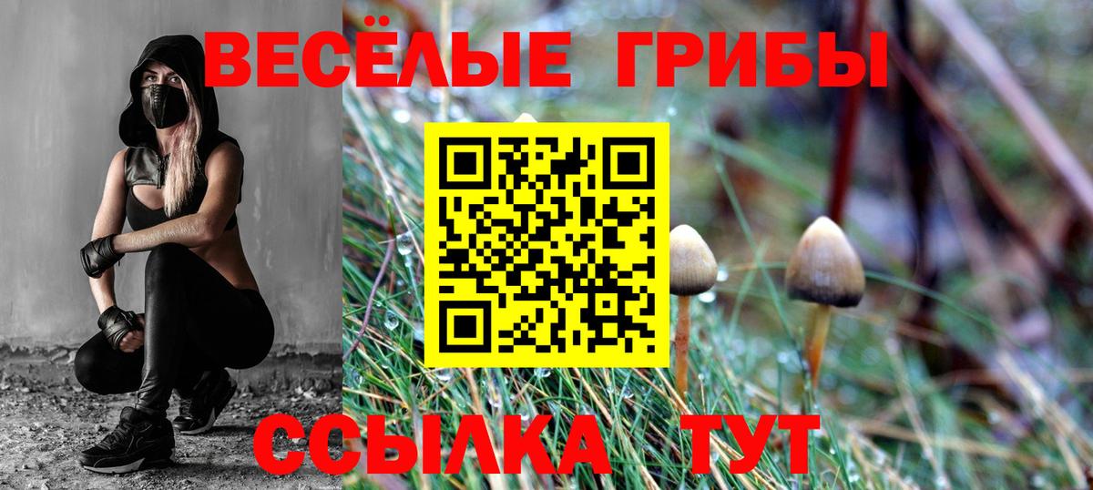 Туапсе  Галлюциногенные грибы мицелий  Вход с VPN 
